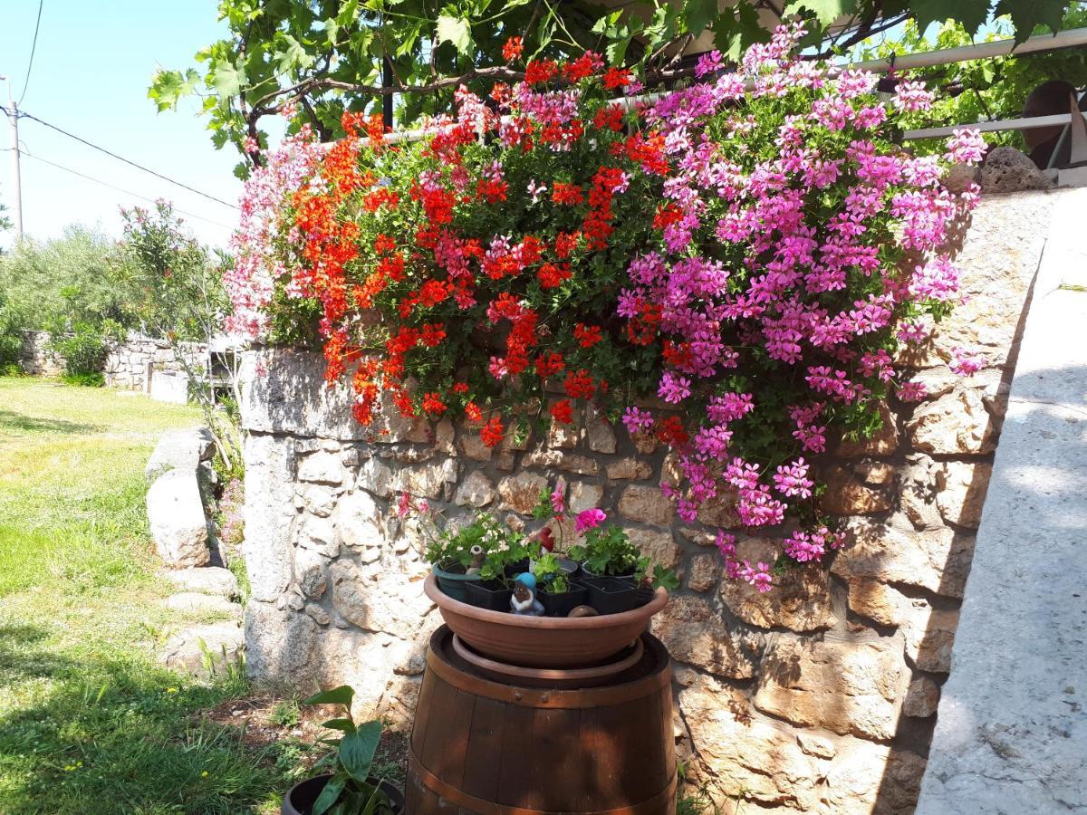 Apartments Sabina I Grapes Малинска Экстерьер фото